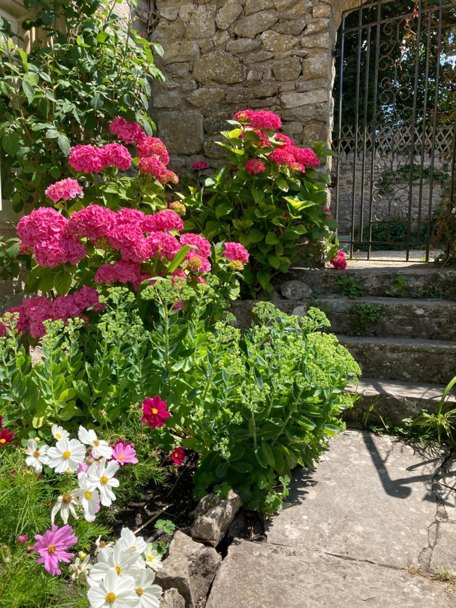 Bed and Breakfast Maplestone Shepton Mallet Exterior foto
