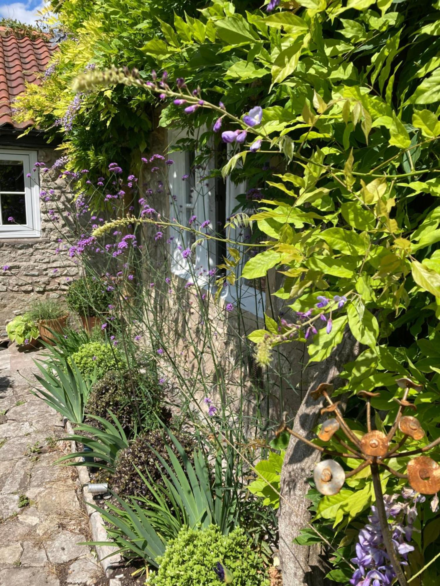 Bed and Breakfast Maplestone Shepton Mallet Exterior foto